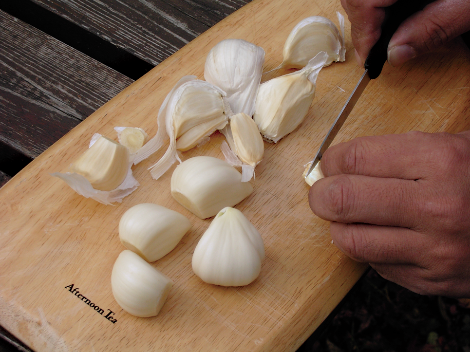 trail recipes garlic