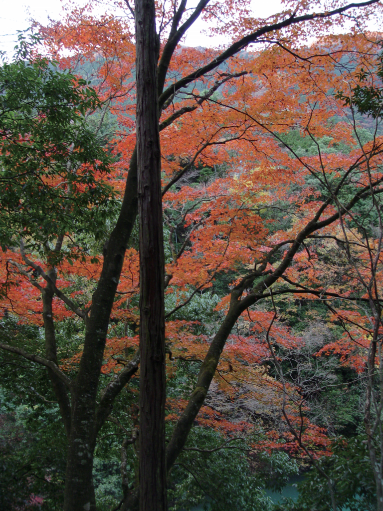 mitake hiking