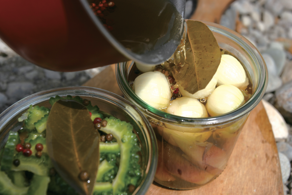 trail recipes pickle