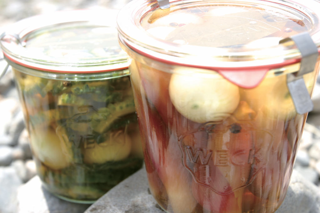 trail recipes pickle