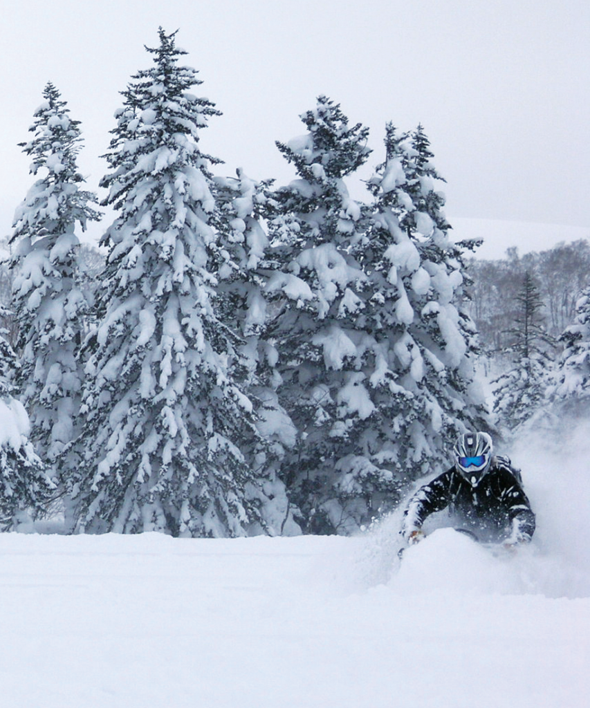 niseko snowmobiling