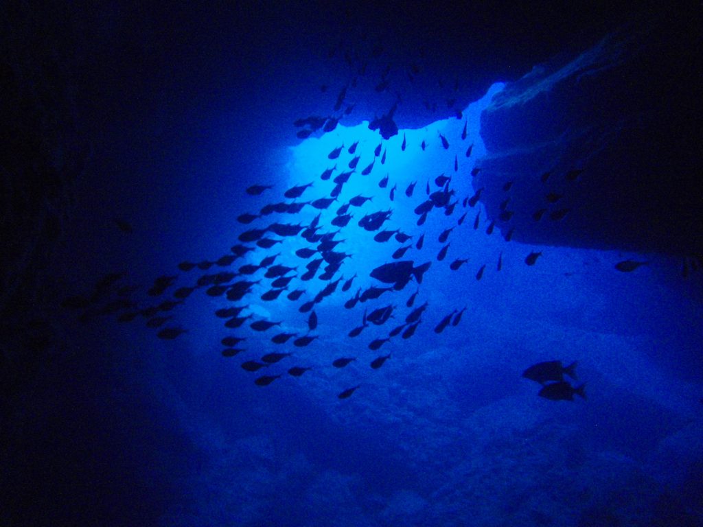 saipan diving