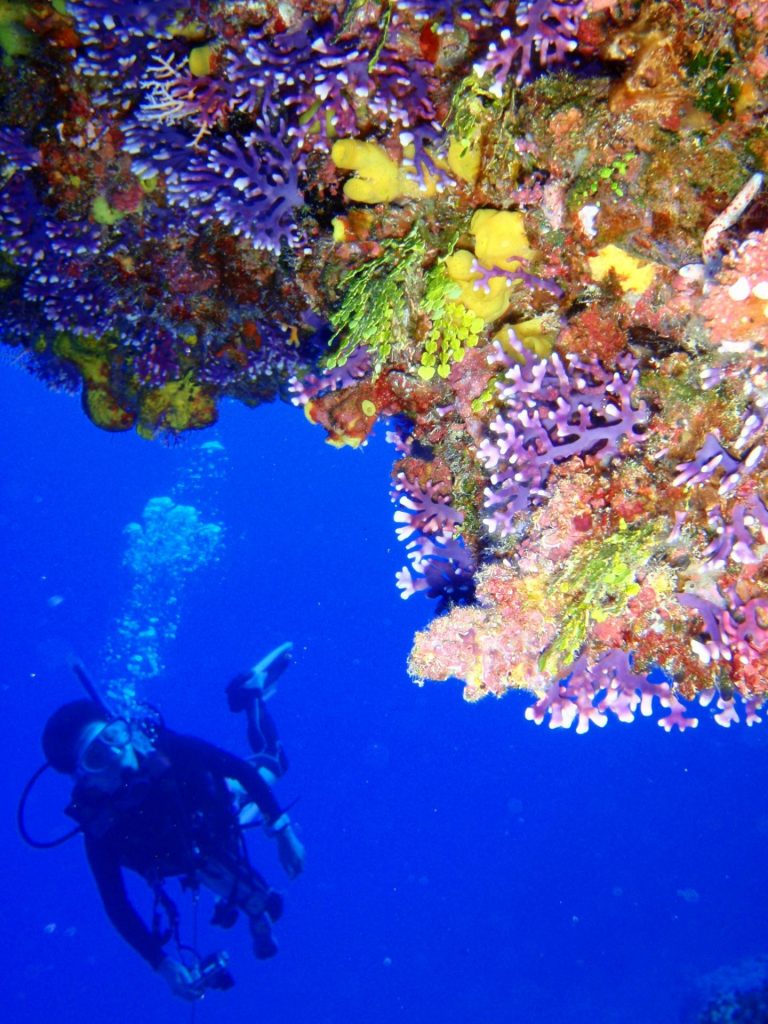 saipan diving