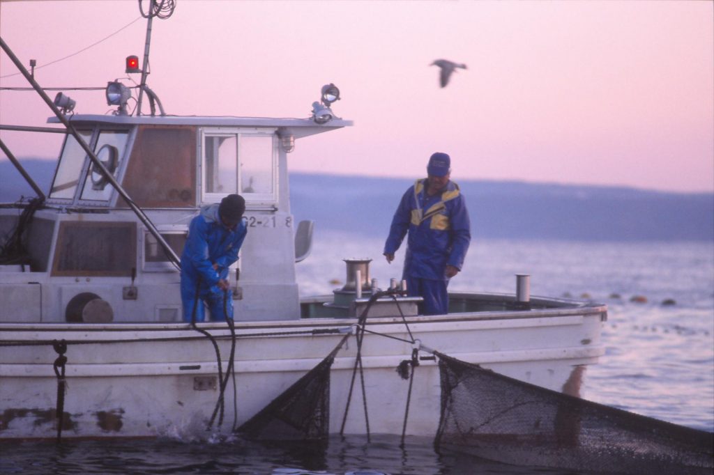 The Japanese Fisherman: An Endangered Species - 日本の漁師＝絶滅危惧種 - Tanegashima -  Mitsuharu Kume