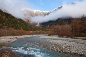 Best Time to Visit Japan: A Season-by-Season Guide