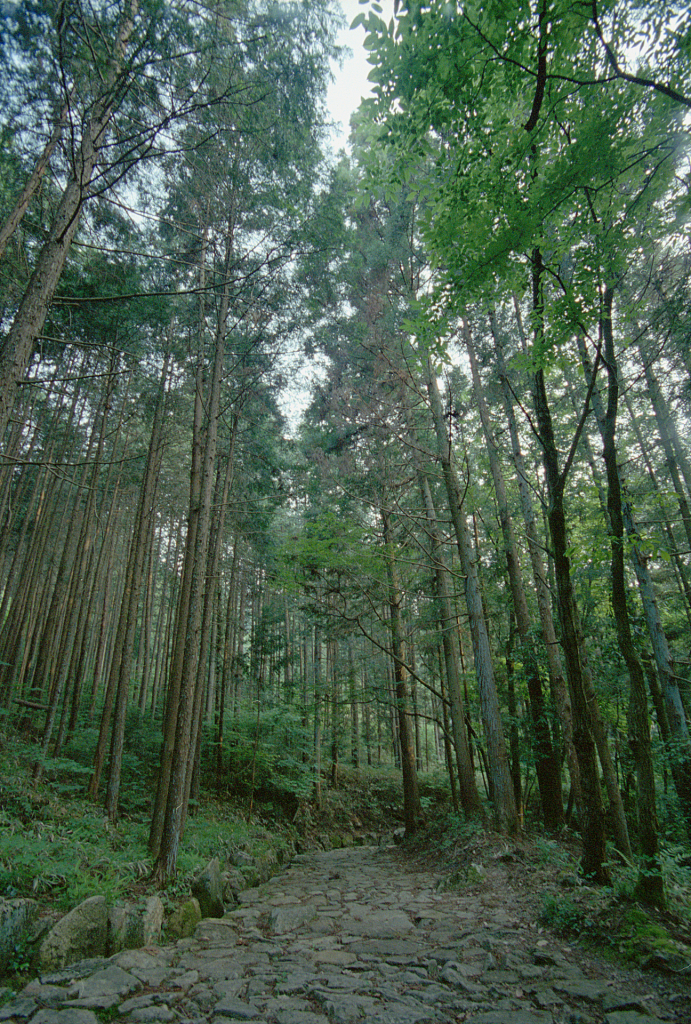 nakasendo