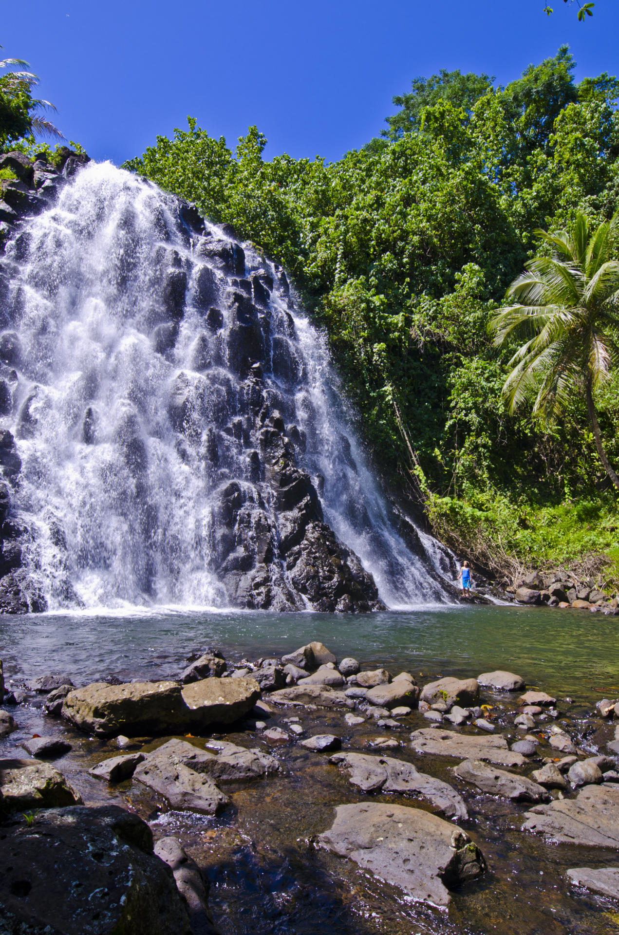 Outdoor Japan Traveler Issue 44 Summer 2012 Pohnpei A rare