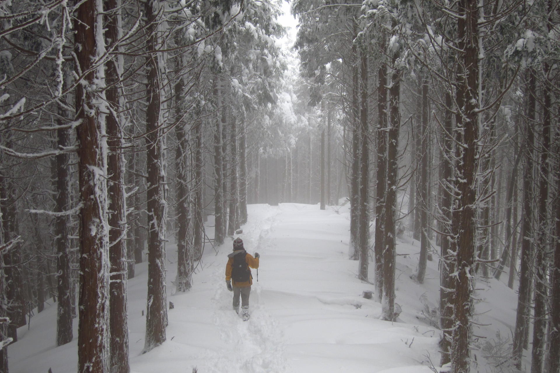 Outdoor Japan - Traveler Magazine - Issue 50 - Winter 2014 -Traveler's ...