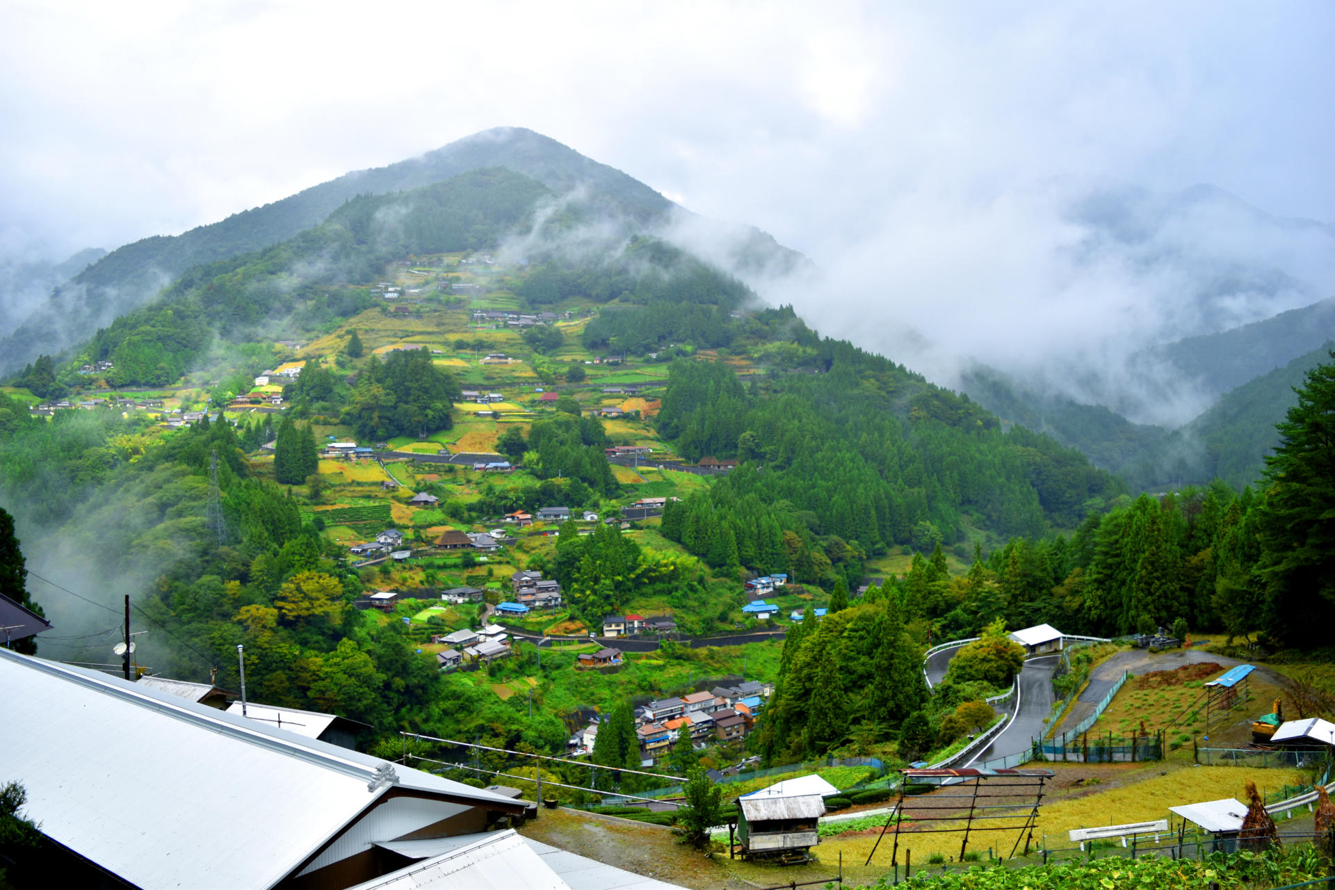 GravityDefying Farming in Nishi Awa Outdoor Japan