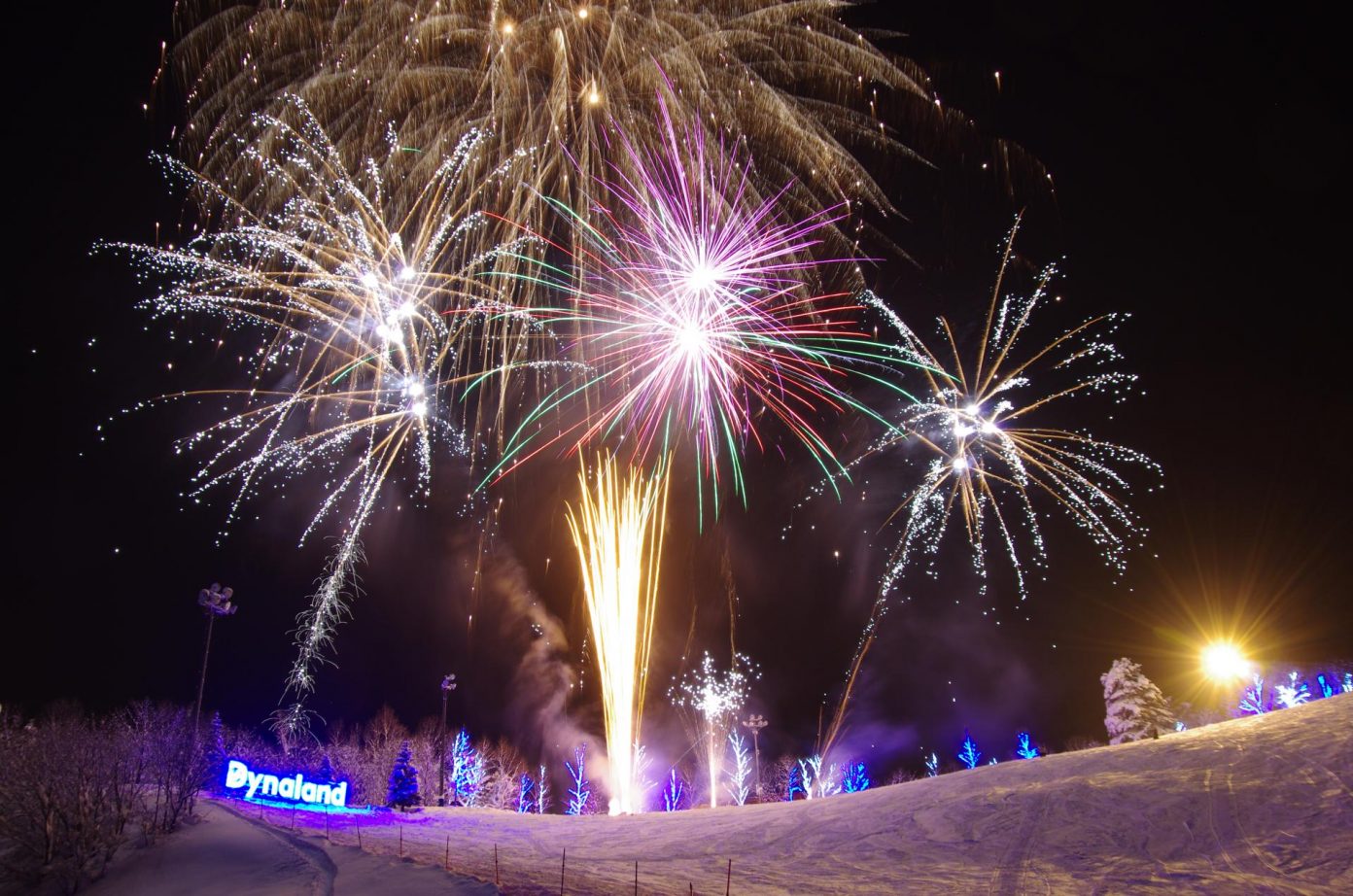 Japan Snow Guide December Skiing