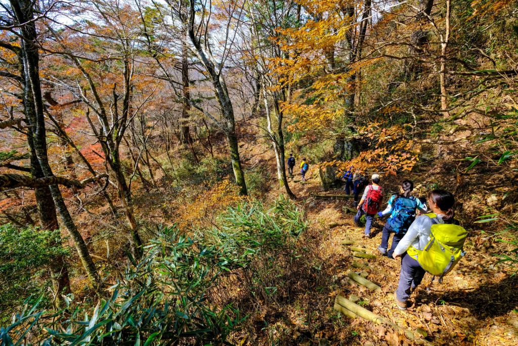 Mt. Kajigamori Hiking Route, Japan Eco Track