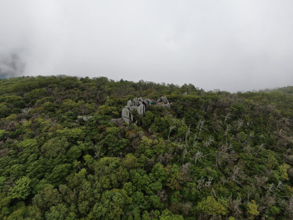 mt. goya north tohoku hikes