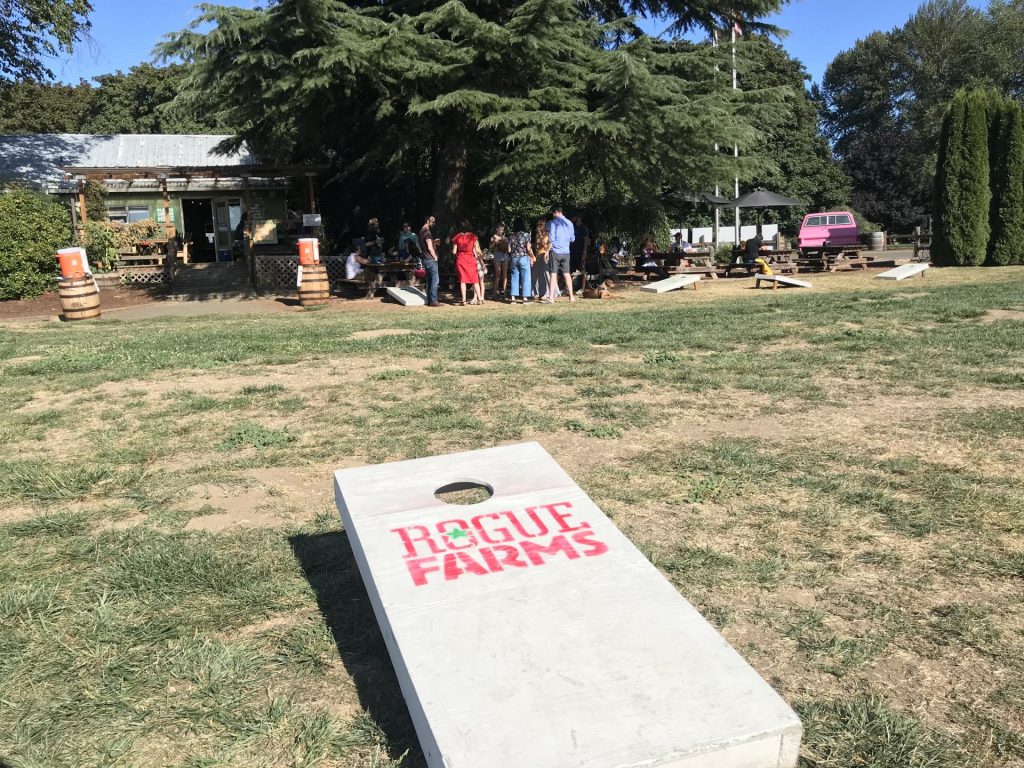 Cornhole for the People Nozawa Onsen