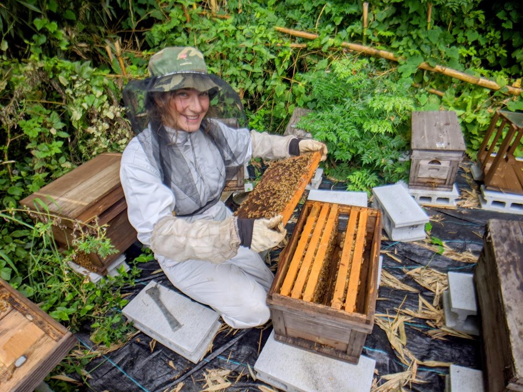 Outdoor Japan Kodo Bee Farm