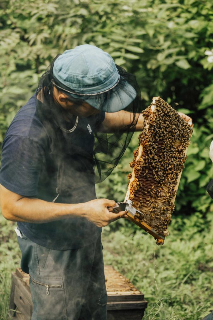 Outdoor Japan Kodo Bee Farm