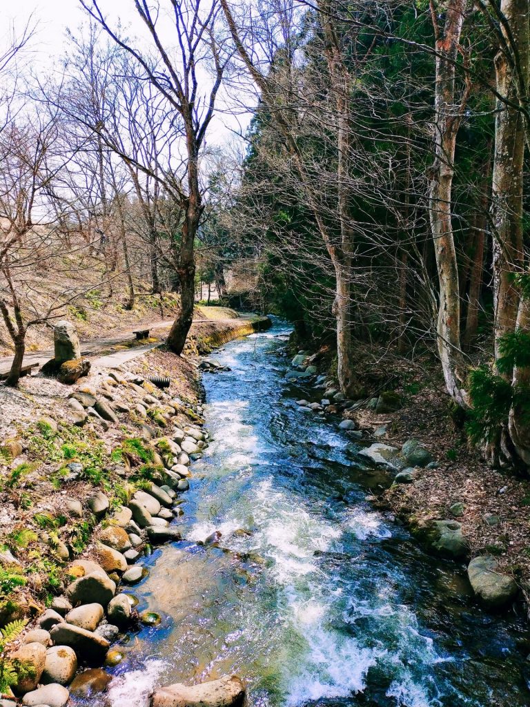 Madarao Mountain Biking Autumn Nagano