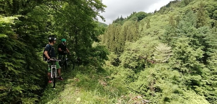 Madarao Mountain Biking Autumn Nagano