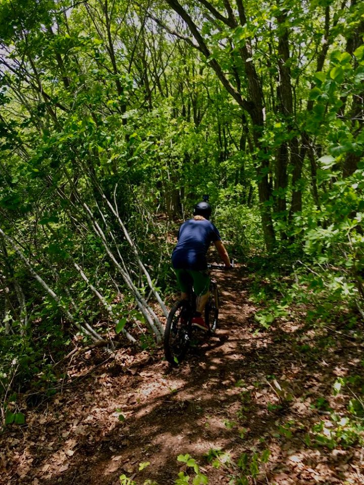 Madarao Mountain Biking Autumn Nagano