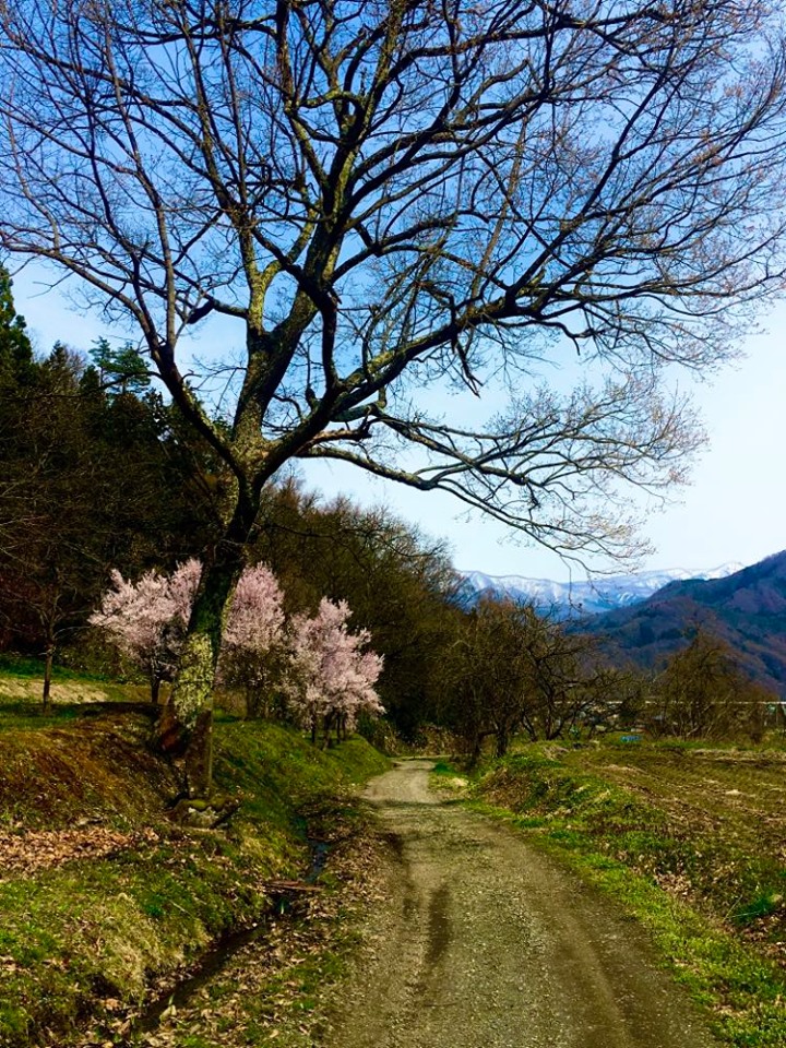 Madarao Mountain Biking Autumn Nagano