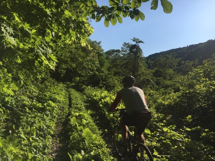 Madarao Mountain Biking Autumn Nagano