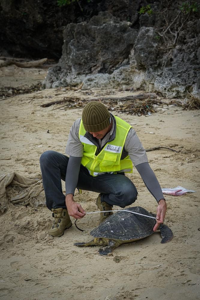 Churamura Okinawa Sea Turtle Marine Conservation