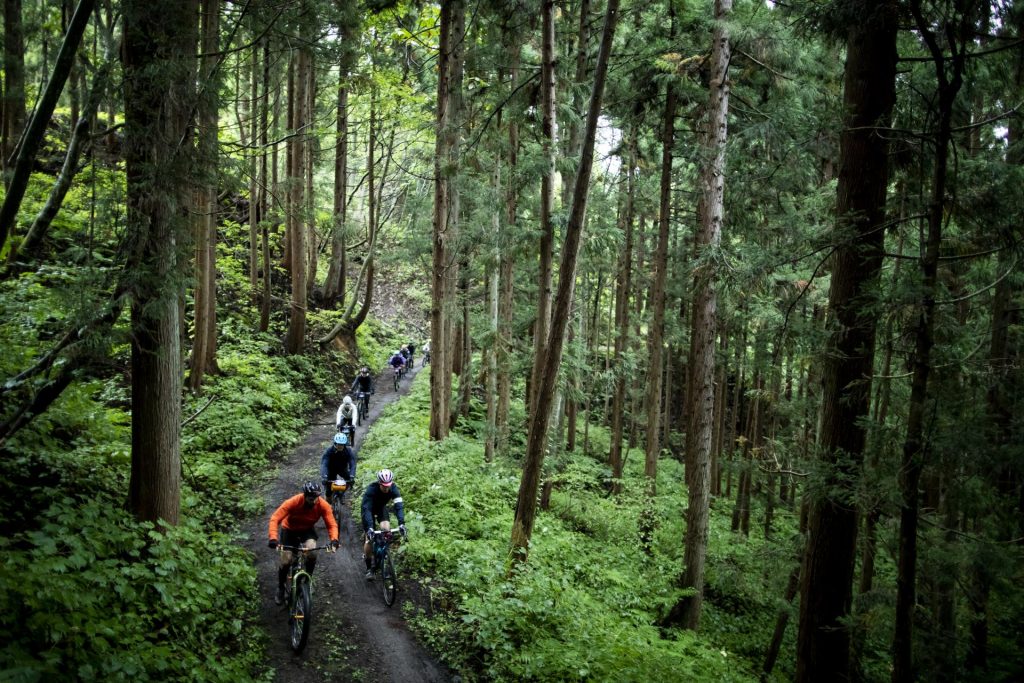 Madarao Mountain Biking Autumn Nagano