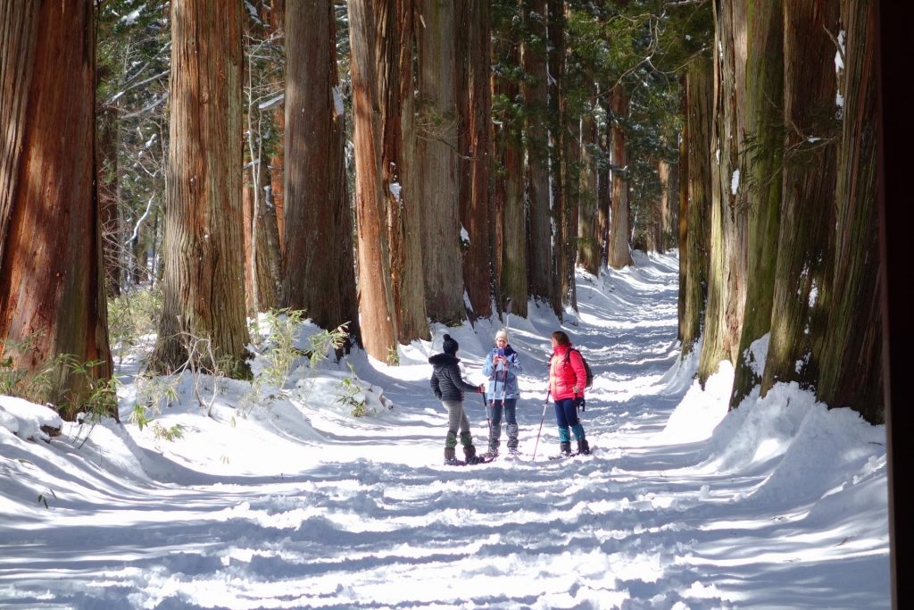 Shinano Town Outdoor Japan