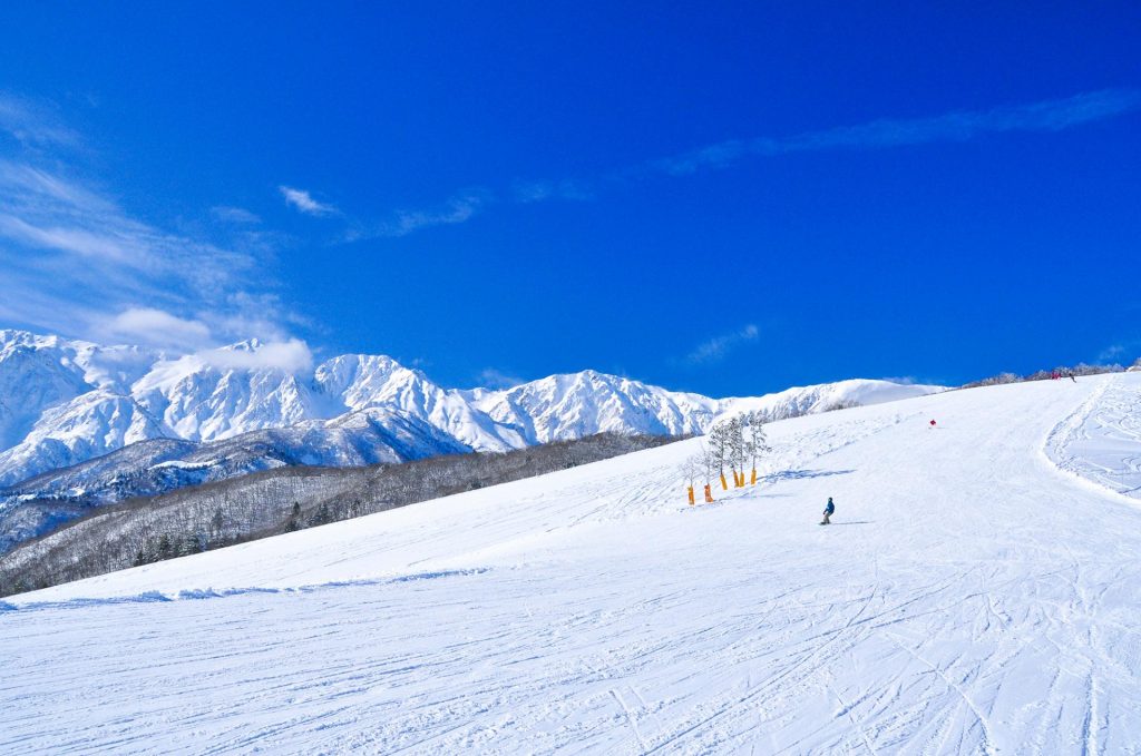 Protect our Winter POW Japan