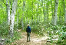 spring outdoor japan shinano discovery