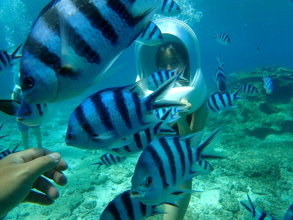 onna tiger beach okinawa outdoor japan