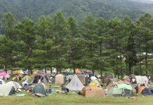 fuji rock japan