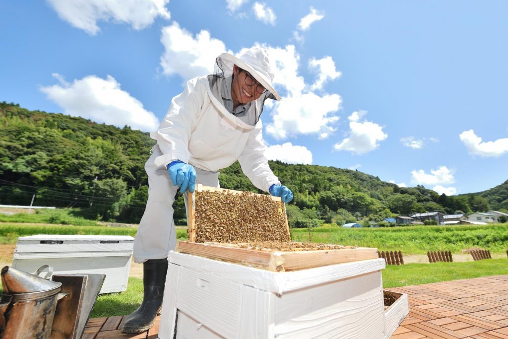 mead brewing in japan