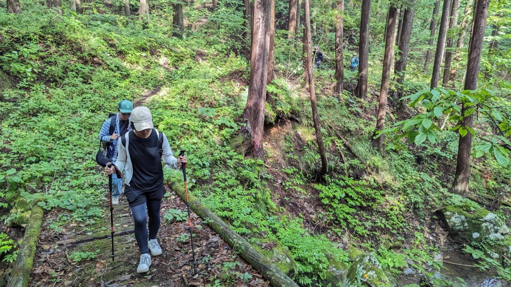 Michinoku Coastal Trail Quinlan Faris