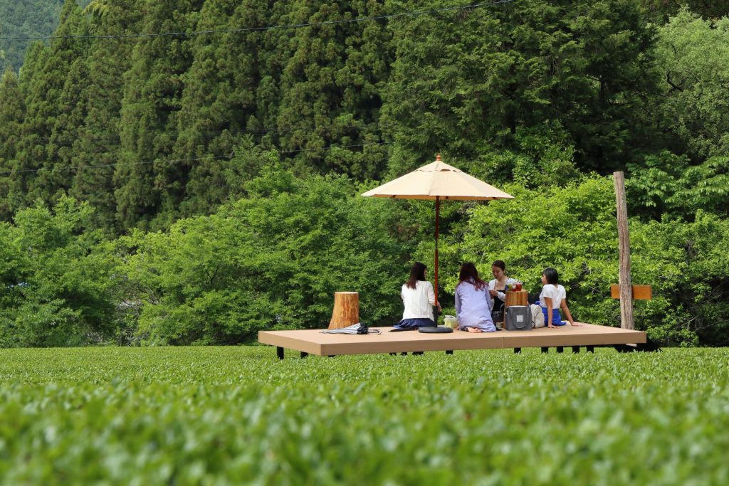 Suruga Tea Country E-Bike Shizuoka