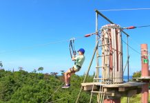 Okinawa Forest Adventure