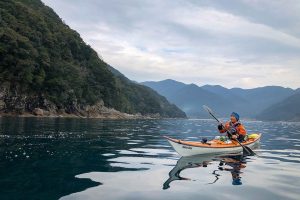 Uncovering the Hidden Flow of the Kumano Kodo Iseji
